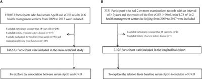 The association of apolipoprotein B with chronic kidney disease in the Chinese population